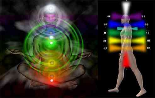chakras in the human body